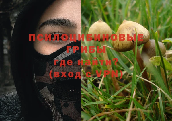 2c-b Горняк