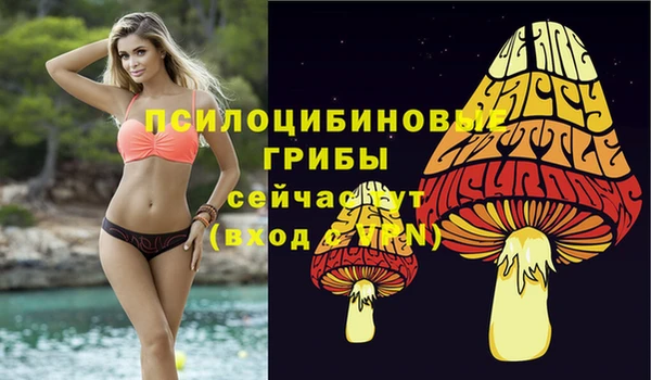 MDMA Горнозаводск