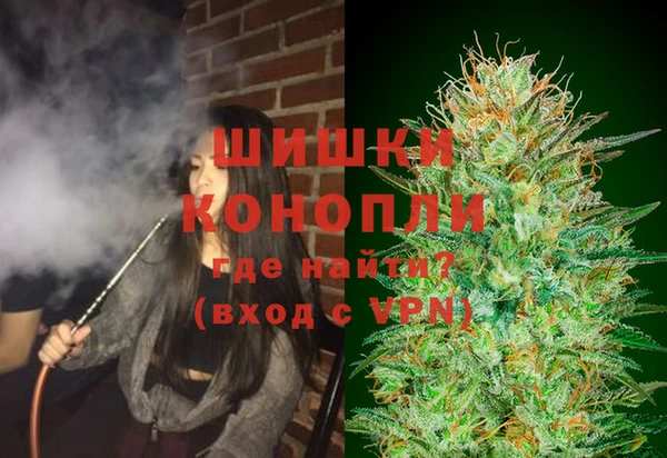 2c-b Горняк