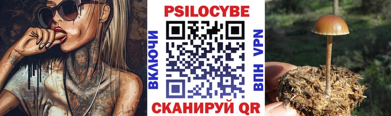Галлюциногенные грибы Cubensis  наркотики  Горнозаводск 